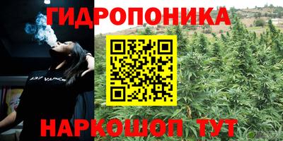 дживик Моздок
